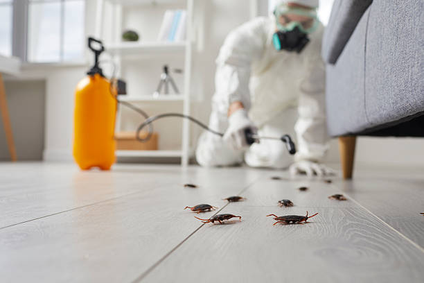 Commercial Kitchen Cockroach Control in Northvale